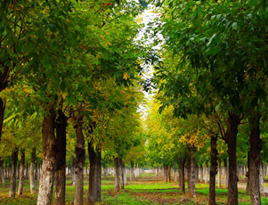 北京航天斯達(dá)科技有限公司